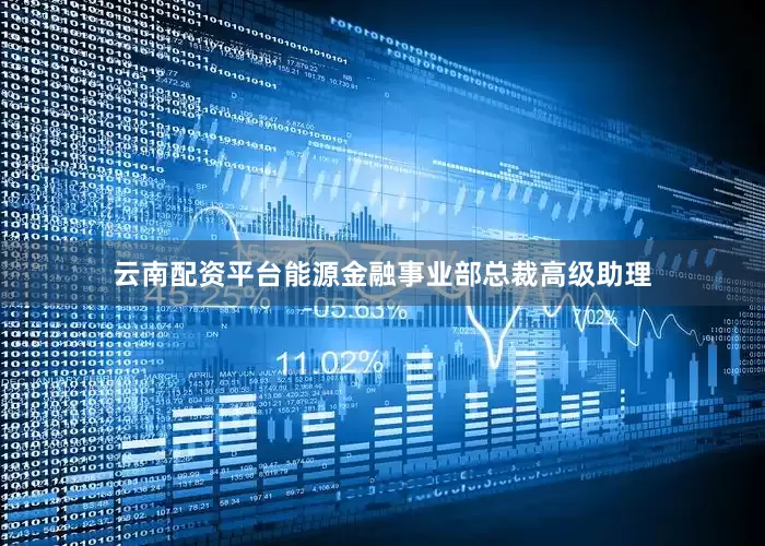 云南配资平台能源金融事业部总裁高级助理