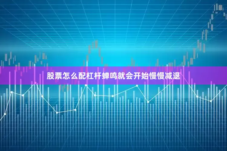 股票怎么配杠杆蝉鸣就会开始慢慢减退